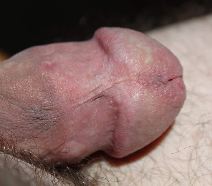 Adult image from lilsoftee