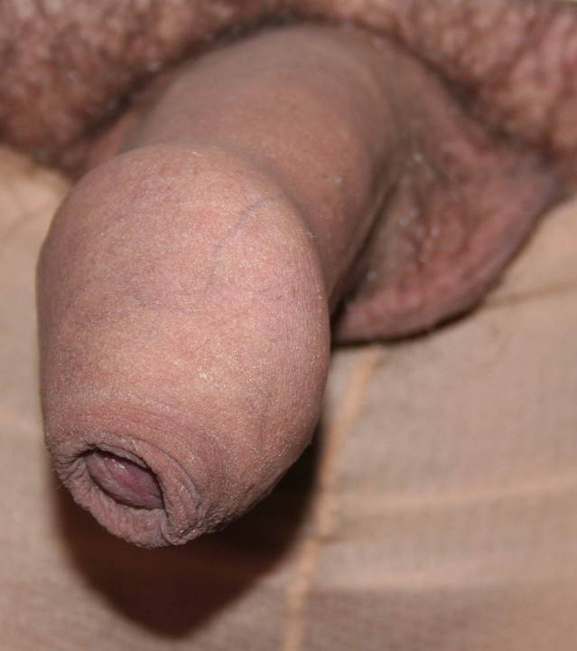 Adult image from nylonlover