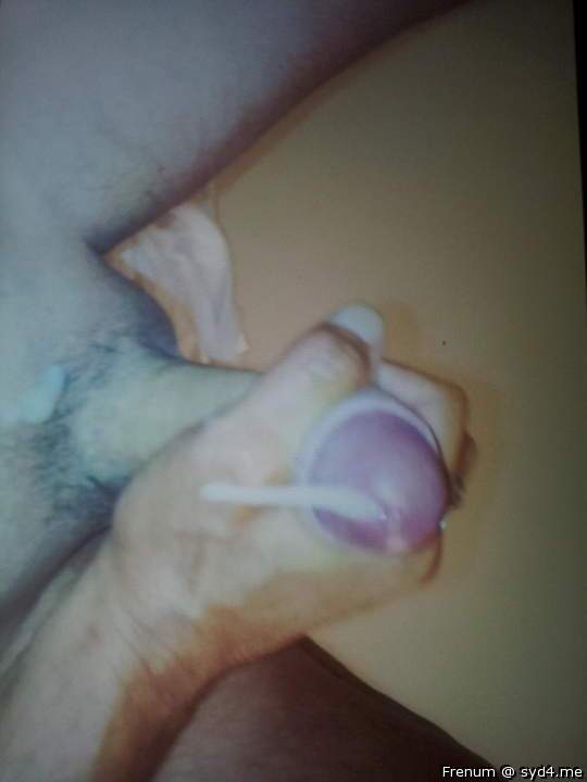 Adult image from Frenum