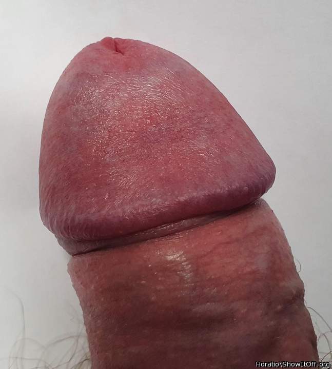 Adult image from Horatio