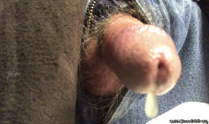 Adult image from Arinn