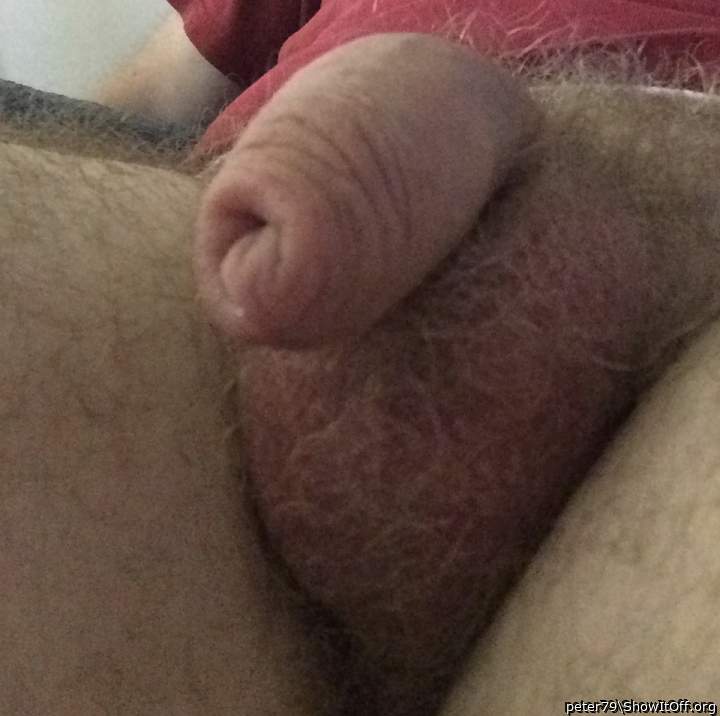 Adult image from peter79