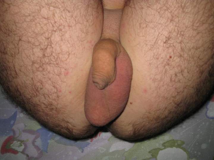 Adult image from Win_Gerhard