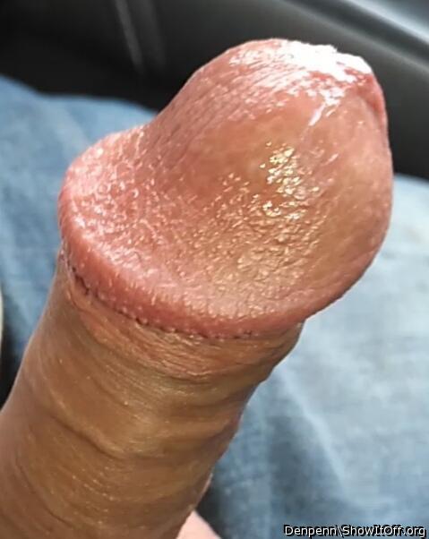 Adult image from Denpenn