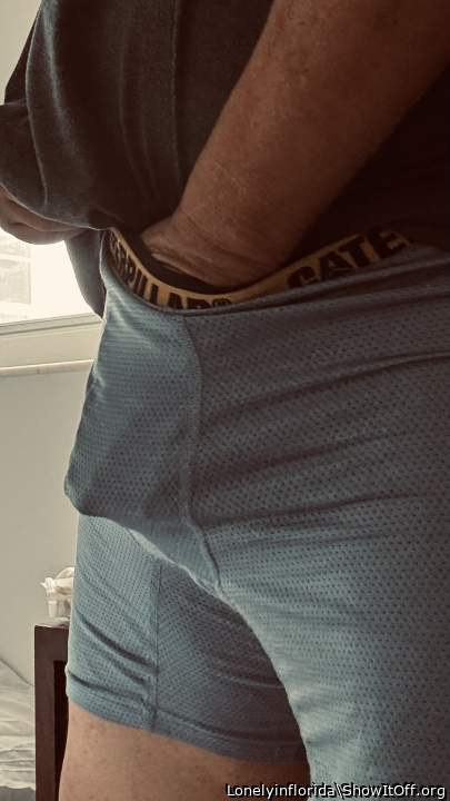 Adult image from Lonelyinflorida