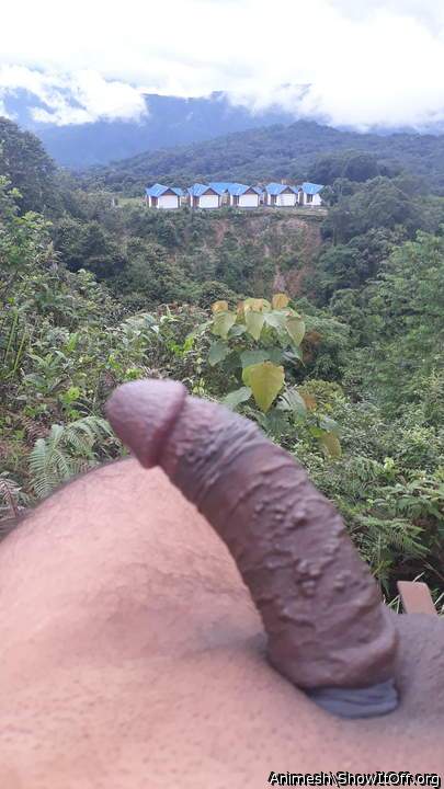 Adult image from Animesh