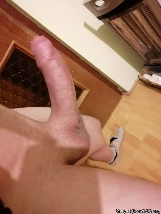 Adult image from Matyas