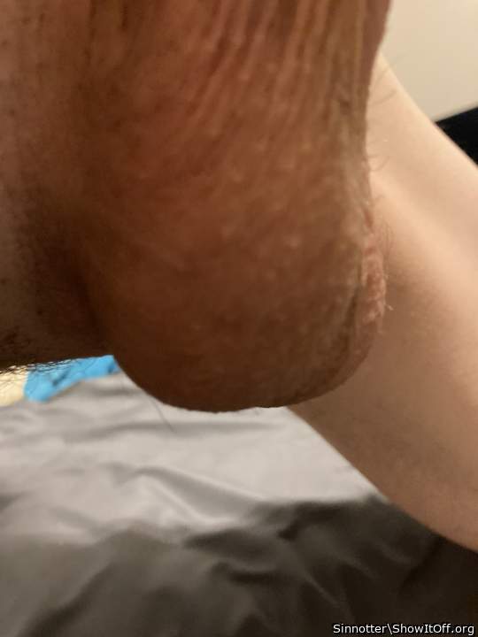 Adult image from Otter