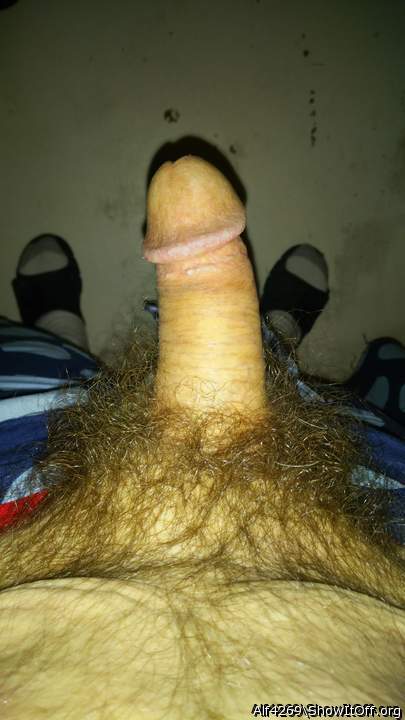 Adult image from Alf4269