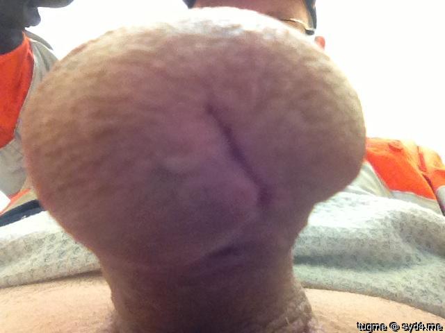 Adult image from tugme