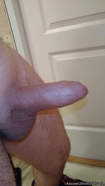 Adult image from Aaccee