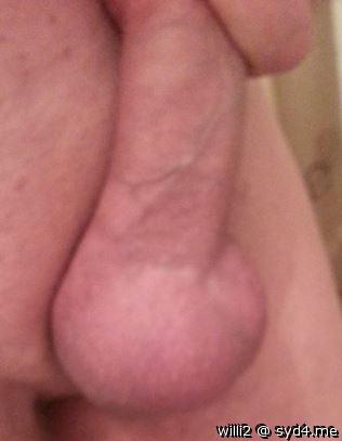 Adult image from WILLI2