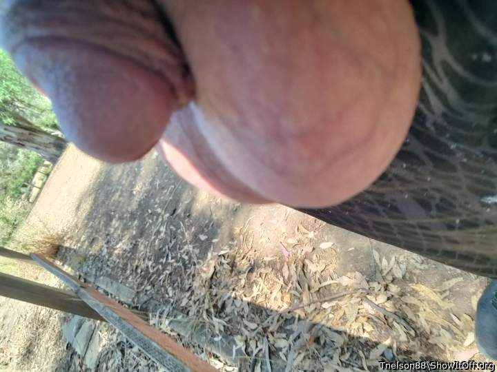 Adult image from Tnelson88