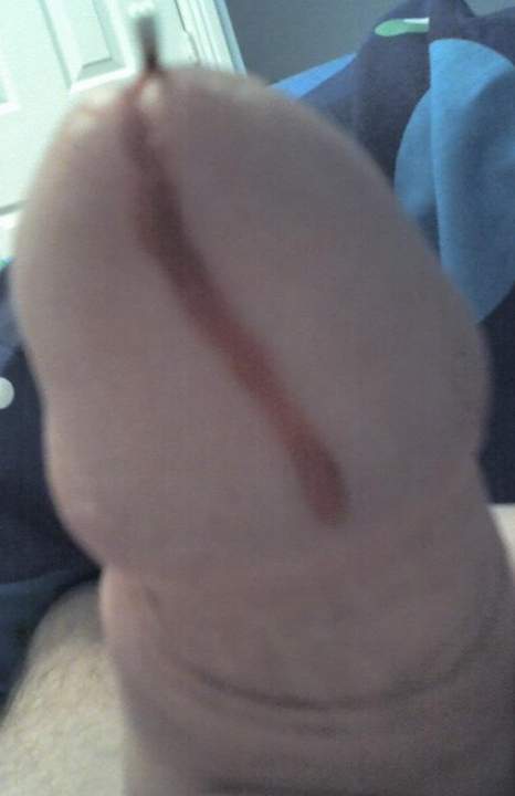 Adult image from xander69