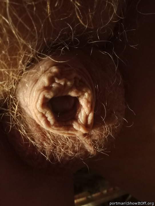 Hairy