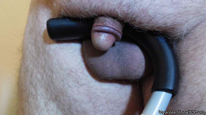 Cane