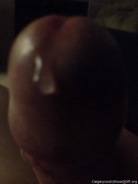 Adult image from Calgarycock