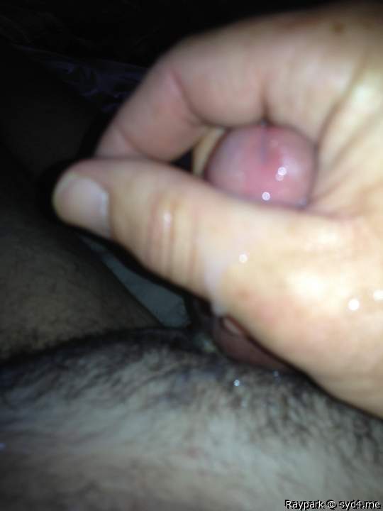 Adult image from Raypark