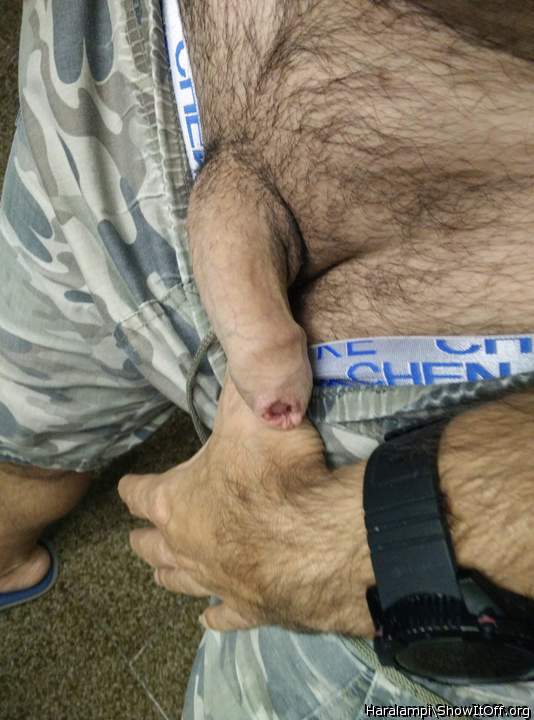 Adult image from Haralampi