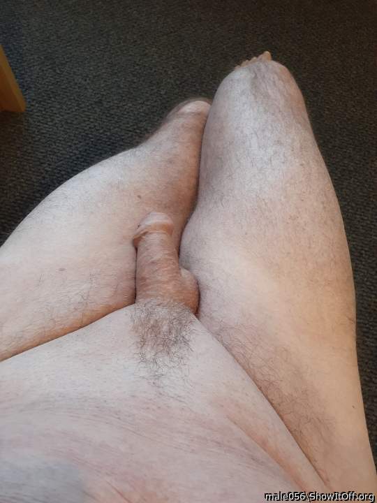 Adult image from male056