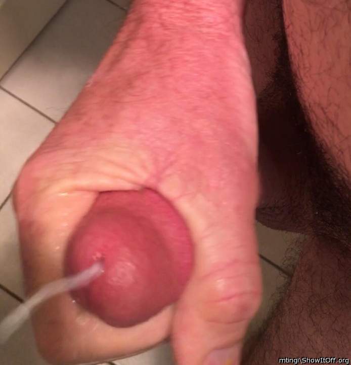 Adult image from mtingi