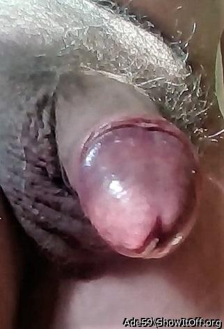 Adult image from Ade59