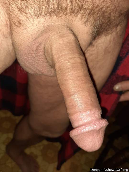 Adult image from Denpenn