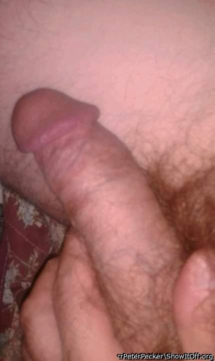 Adult image from PeterPecker