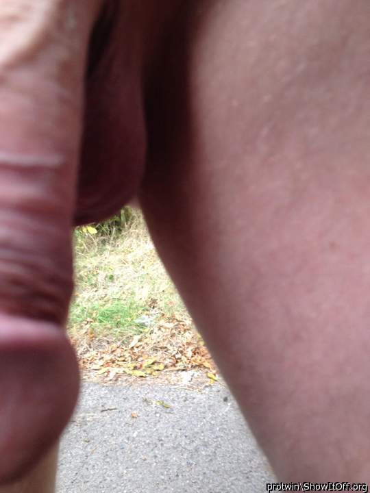 Adult image from protwin