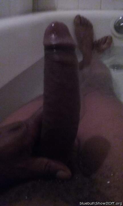 Adult image from bluebull