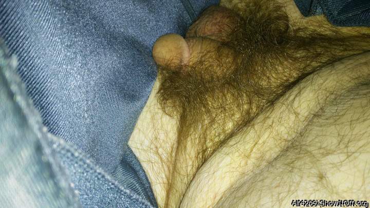 Adult image from Alf4269