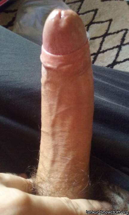 Nice big cock. Love to suck it