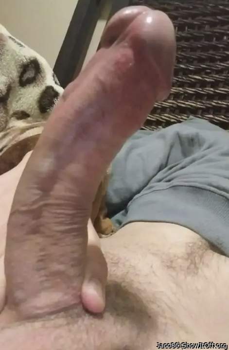 Adult image from Jaco86