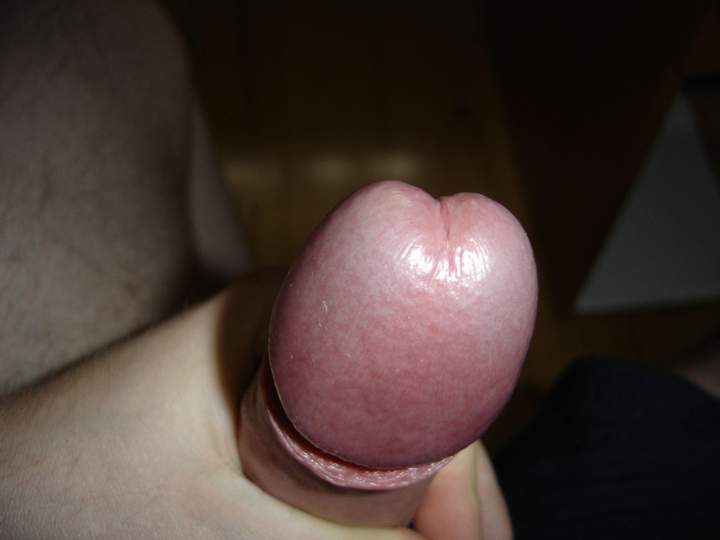 Adult image from hinkelhirte