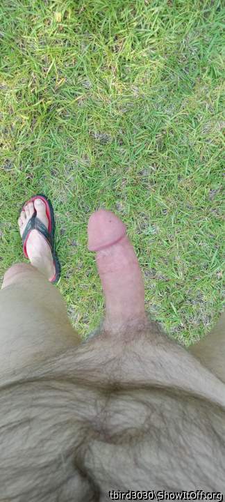 Adult image from tbird3030