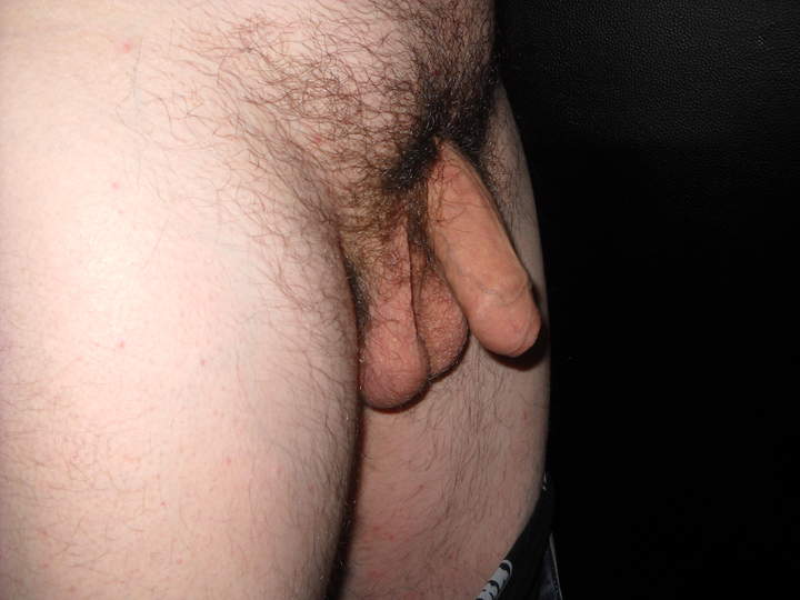 Adult image from phil