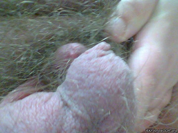 Adult image from rkf