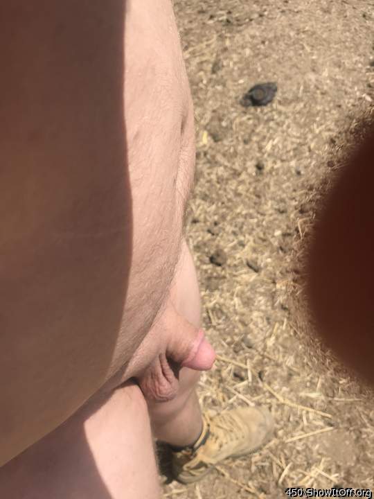 Adult image from 450