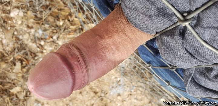 Adult image from Martinez452