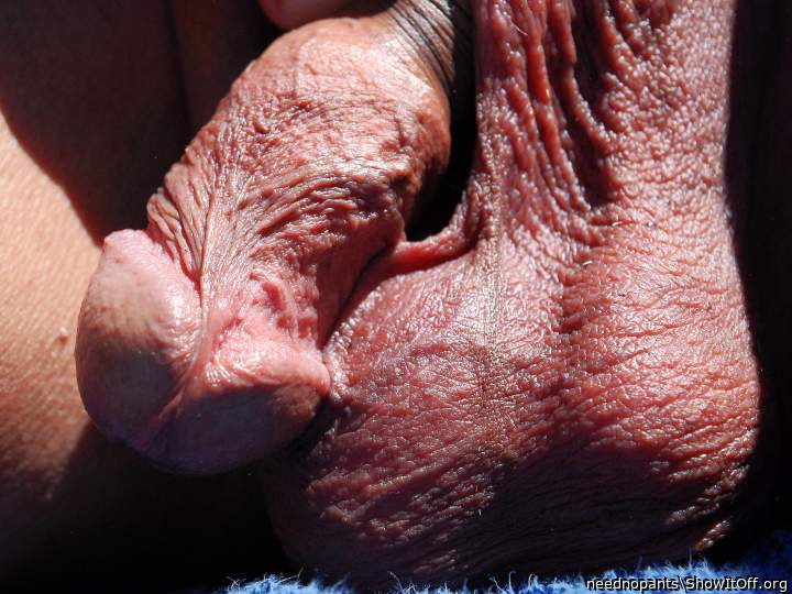 Adult image from neednopants