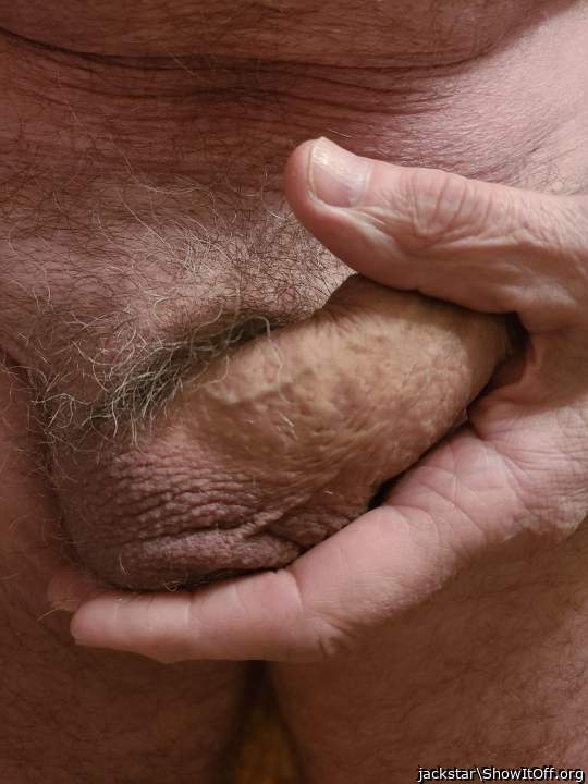 Adult image from jackstar