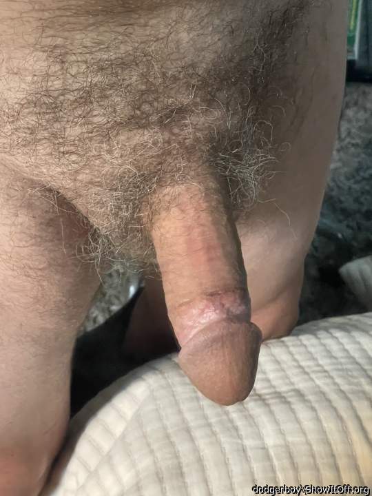 Adult image from dodgerboy