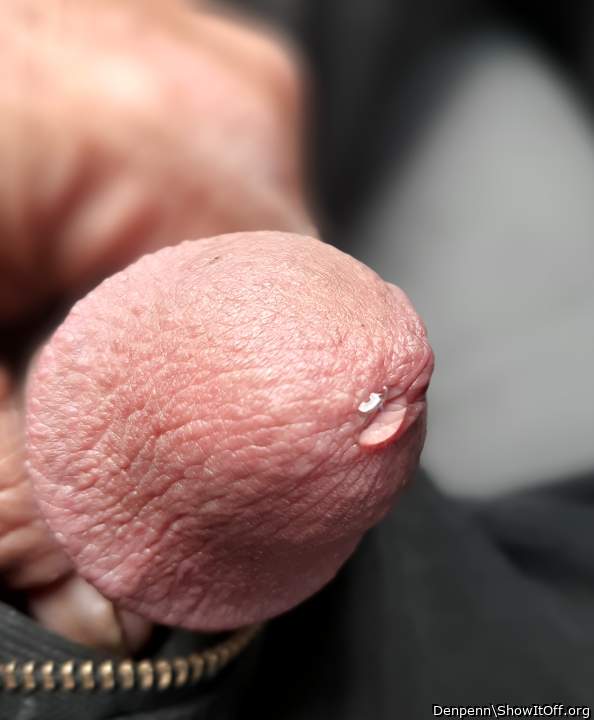 Adult image from Denpenn