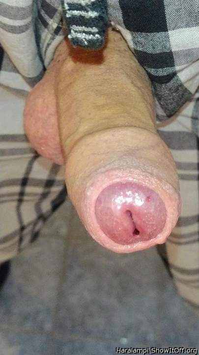 Adult image from Haralampi