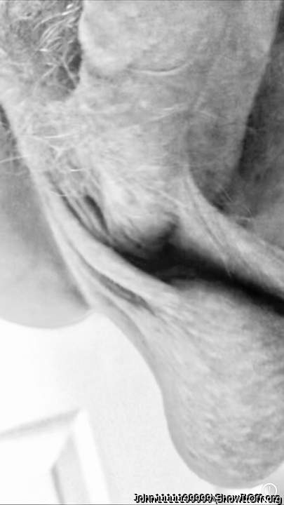 Adult image from John1111199999