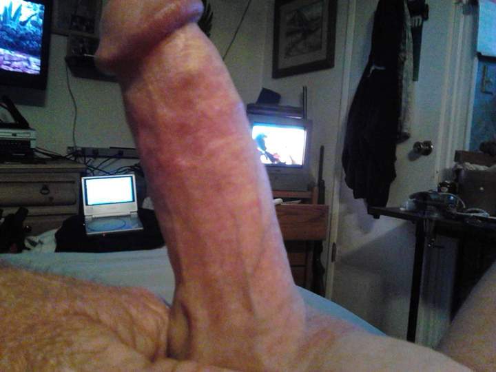 Adult image from fish4free