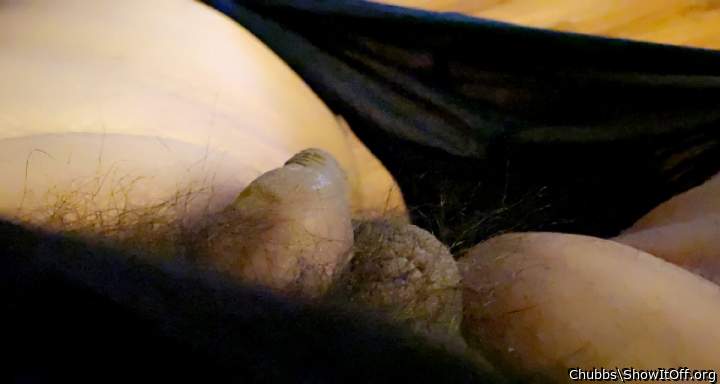 Adult image from Chubbs