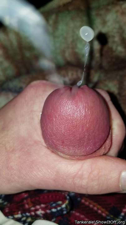 Adult image from Tankerale
