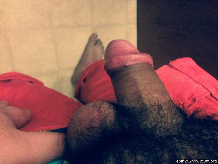 Adult image from Ebih2