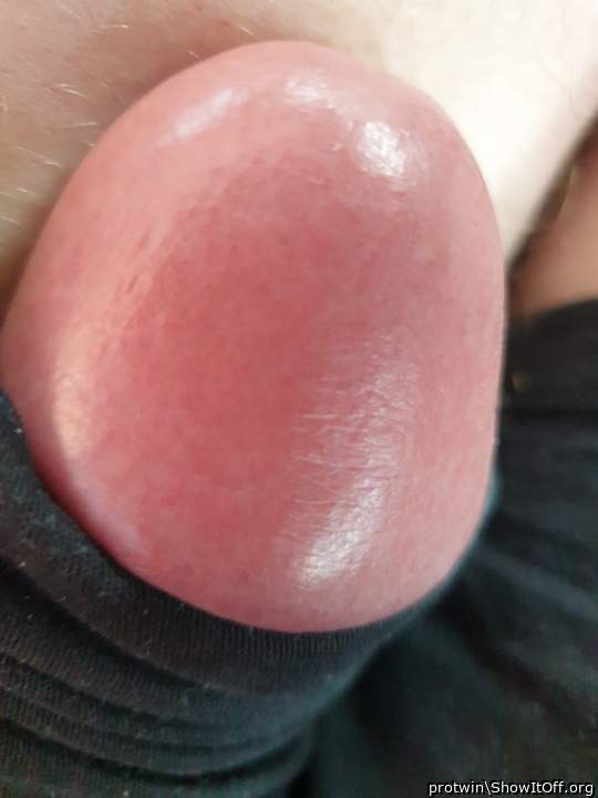Adult image from protwin